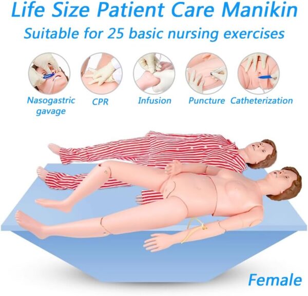 Medical Mannequin